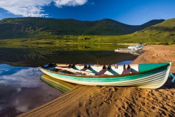 Tickets für IRLAND  am 11.01.2026 - Karten kaufen